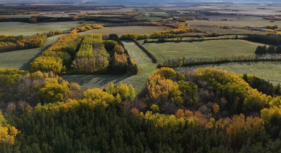 Whitemud Watershed Conservation District