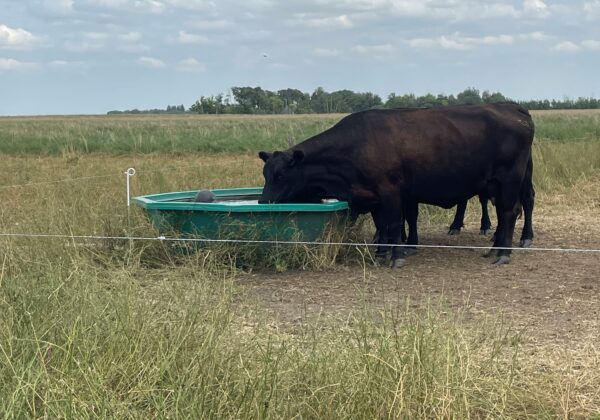 Pasture Management Program