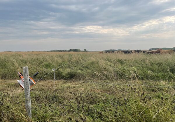 Prairie Watershed Climate Program (PWCP)- BMP Rotational Grazing