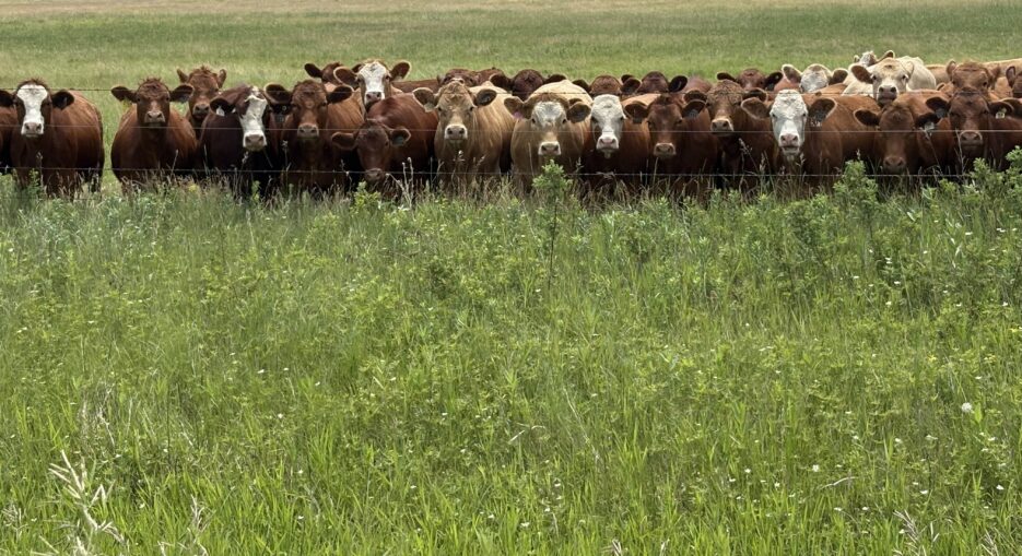 Whitemud Watershed Conservation District